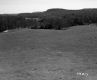 Farrell Farms Inc.