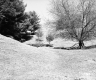Farrell Farms Inc.