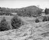 Farrell Farms Inc.