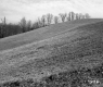 Farrell's Property Located Between Norwich and Thetford