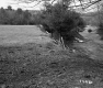 Farrell's Property Located Between Norwich and Thetford