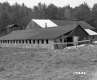 Farrell's Property Located Between Norwich and Thetford