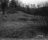 Woodbury Property, Field and Trees