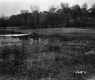 Corkins Property, Field and Houses on Hill