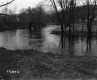 Corkins Property, River through Field