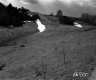 Corkins Property, Rolling Farm Fields