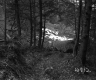 Citizens Utilities Company Property, Forest View