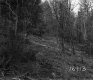 Citizens Utilities Company Property, Forest View
