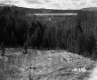 Citizens Utilities Company Property, Field and Forest