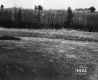 Byers Property, Rolling Hills