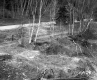 Cooke Property, Logging on Hill