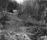 Cooke Property, Logging on Hill