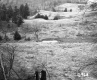 Greaves Property, Rolling Hills