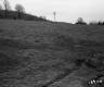 Greaves Property, Field and Forest