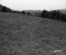 Greaves Property, Power Lines through Field