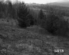 Greaves Property, Rolling Hills