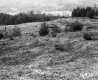 Greaves Property, Small Building in Field