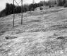 Greaves Property, Small Building in Field