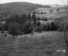 Greaves Property, Rolling Hills