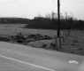Dente Property, Farm Fields and Forest