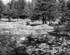 Hitchcock Property North View of Meadow with Snow