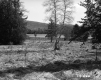 Hitchcock Property View of Meadow and River