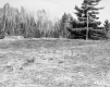 Hitchcock Property, Meadow and Power Lines