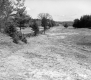 Hitchcock Property, Meadow with Road