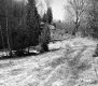 Hitchcock Property, Meadow with Path