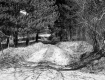 Hitchcock Property, Dirt Road