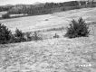 Hitchcock Property Northwest View of Meadow with Mountains