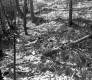Citizens Utility Property South View of Hill