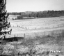 Citizens Utility Property Northwest View of Meadow with Fences