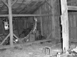 Citizens Utility Property Barn Interior