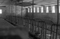 Citizens Utility Property Barn Interior Animal Pen