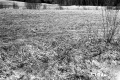 Citizens Utility Property Northwest View Meadow
