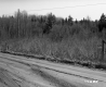 Schuler Property Southeast View Dirt Road