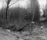Schuler Property South View Fence and Path