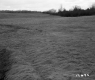 Schuler Property North View Meadow