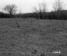 Schuler Property Southwest View Meadow and Trees