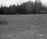 Schuler Property Northeast View Meadow with Fence