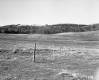 Hackett Property, Meadow with Poles