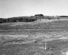 Hackett Property, Meadow with Poles