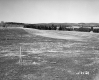 Hackett Property, Meadow with Poles