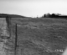 Hackett Property, Meadow with Fence