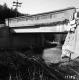 Bridge with Branches Foreground