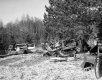 Hitchcock Property, Broken Cars