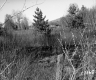 Hitchcock Property Northeast View Marsh with Broken Cars