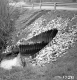 Bridge #118