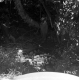 Weigel Property, Men at Culvert Outlet